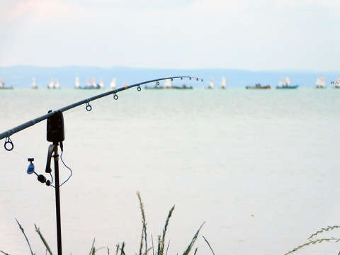 Balaton, sport