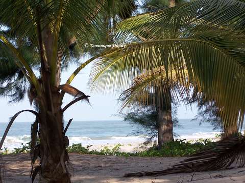 Plage de Cap Skirring - Sénégal