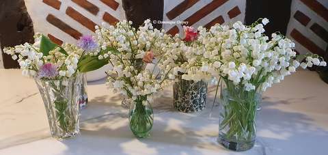 Muguet