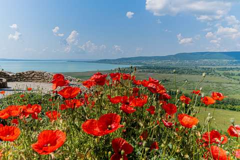 Balaton