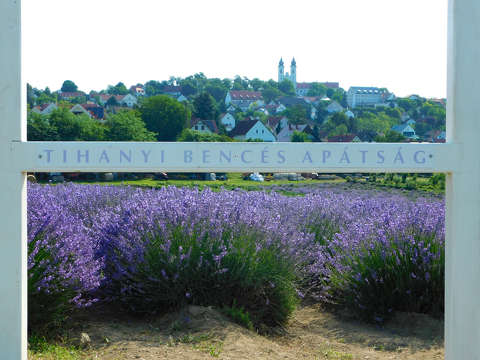 Tihany, levendula, templom