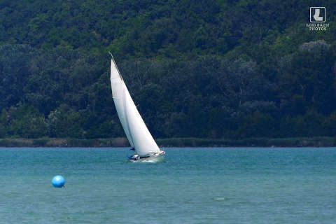 balaton, vitorlás, nyár
