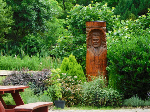 Kámoni arborétum - Szombathely