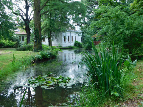 Kámoni arborétum - Szombathely