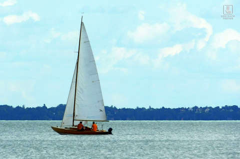 balaton, vitorlás, nyár
