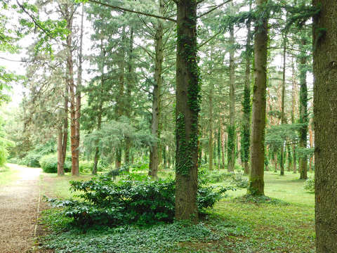 Kámoni arborétum - Szombathely
