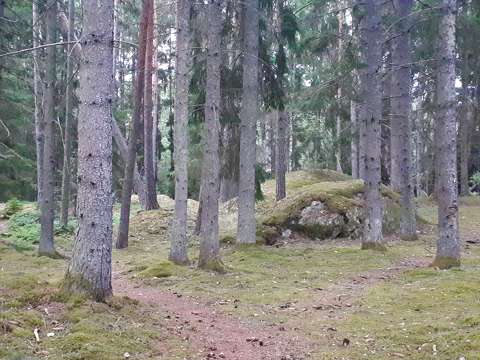Sziklás erdő Svédországban