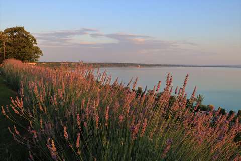 Balatonakarattya magaspart.