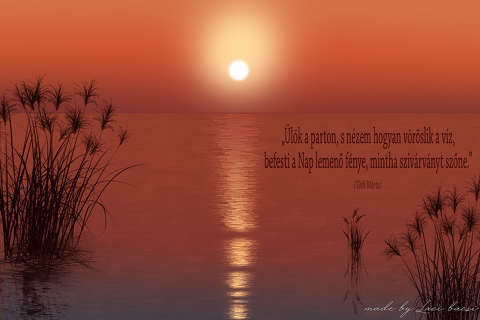 grafika