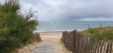 Plage de Domino - Saint-Georges-d'Oléron - France