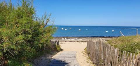 Plage de Domino - Saint-Georges-d'Oléron - France