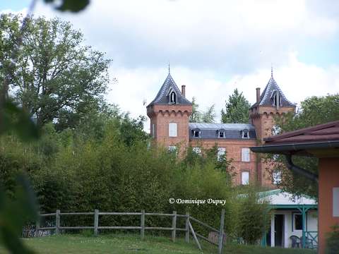 Château des Alicourts - Pierrefitte-sur-Sauldre - France