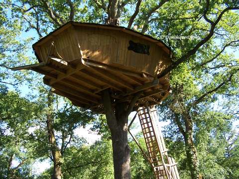 Maison dans l'arbre - Pierrefitte-sur-Sauldre - France