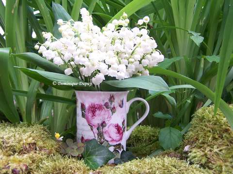Muguet