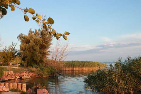 Balatoni csednélet.