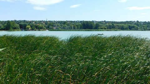 Balatonfűzfő