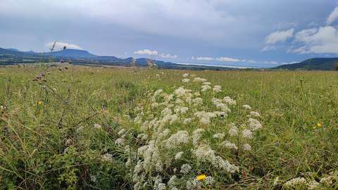magyarország