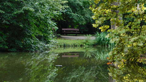 Sárvár, Arborétum