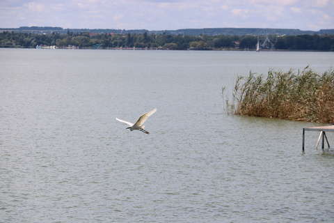 Balaton - Vonyarcvashegy