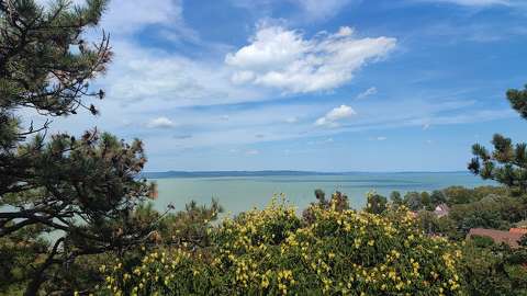 Balatonboglár lombkorona kilátás