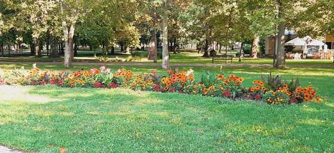 Balatonalmádi, Erzsébet park