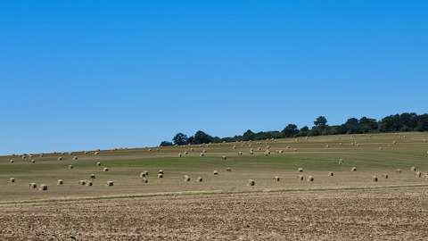 Mezőgazdasági gombolyagok