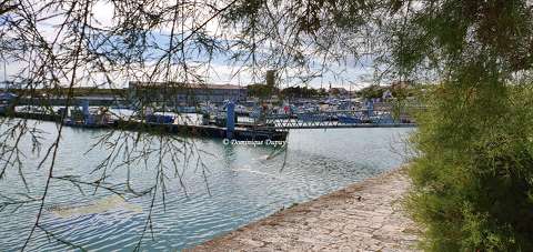 L'île d'Oléron - Port de La Cotinière - France