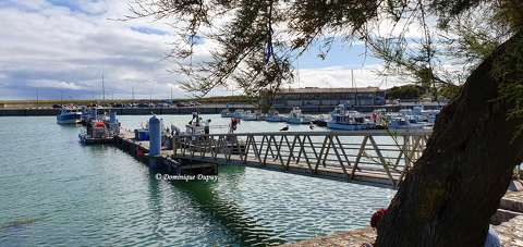 L'île d'Oléron - Port de La Cotinière - France