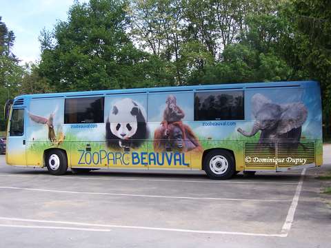 Bus du Zoo de Beauval - France
