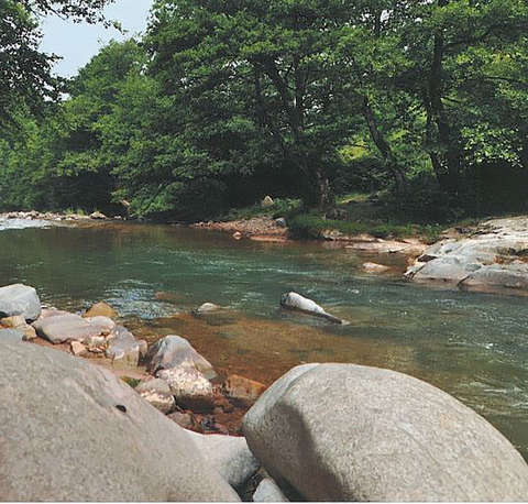 Körös, Erdélyi-szigethegység, Erdély, hegy, folyó, patak, part