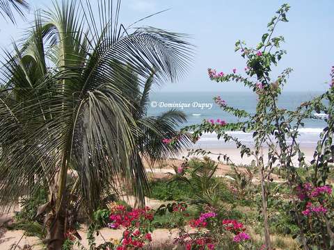 Plage de Cap Skirring - Sénégal