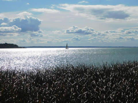 Balaton, sport