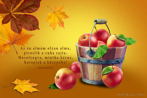 grafika