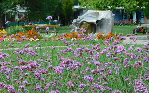 Balatonalmádi - park