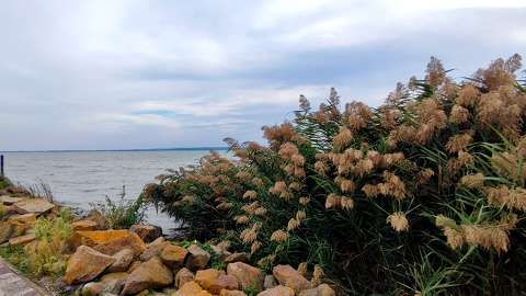 Balatongyörök