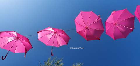Parapluies