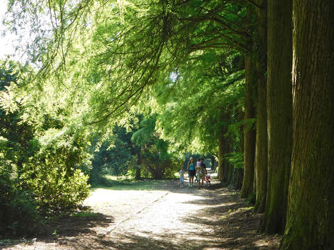 Család a a Kámoni arborétumban - Szombathely
