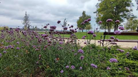 balaton kertek és parkok magyarország pad