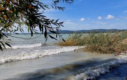 balaton hullám magyarország tó