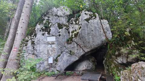 barlang erdő kövek és sziklák