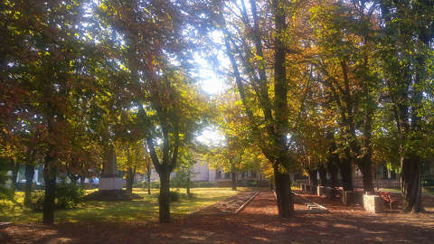 Déri-kert, Baja