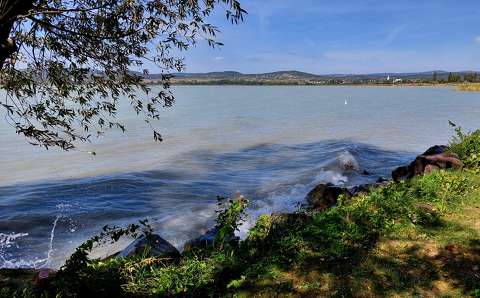 balaton tó