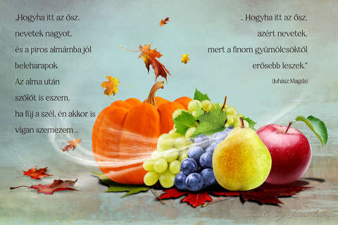 grafika