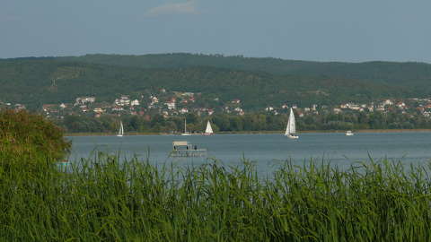 Balaton vitorlások