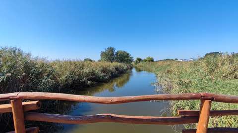 folyó magyarország tisza
