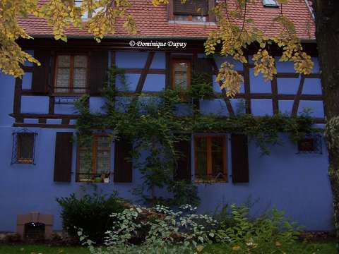 Maison bleue - Ribeauvillé - Alsace
