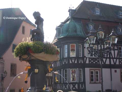 Barr - Alsace - France