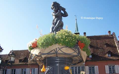 Barr - Alsace - France