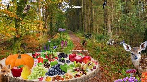 Création - Automne