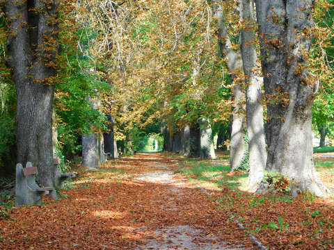 Balatonfűzfő, sétány